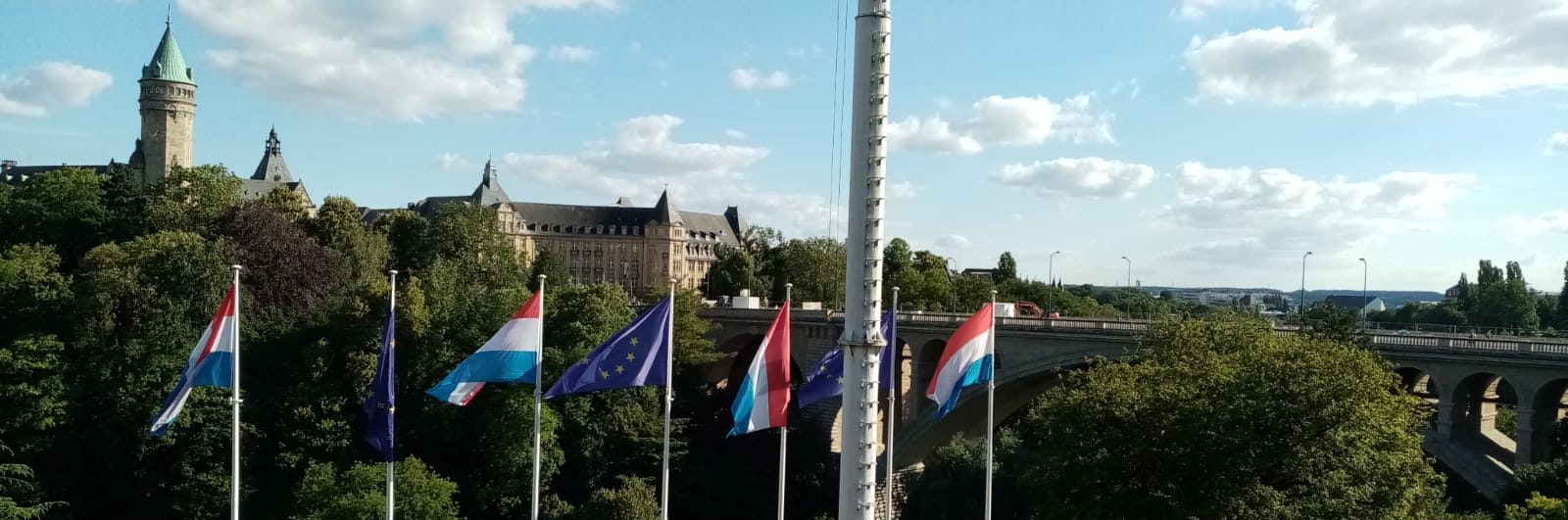 Aurels Luxembourg : orientation selon votre situation